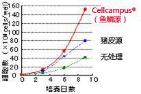 Cellcampus? 鱗源I型膠原
