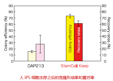無DMSO干細胞凍存液