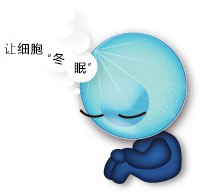 培養(yǎng)細(xì)胞凍存液COS banker系列