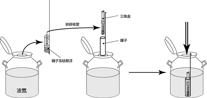 FERTIUP? 和CARD MEDIUM? 配件