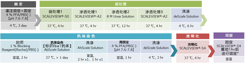 SCALEVIEW-S
