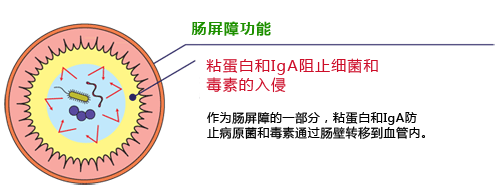 粘蛋白檢測(cè)試劑盒