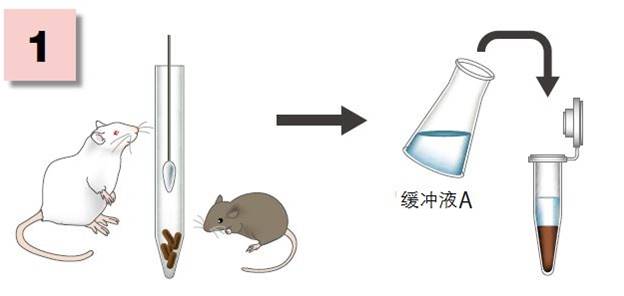 粘蛋白檢測(cè)試劑盒