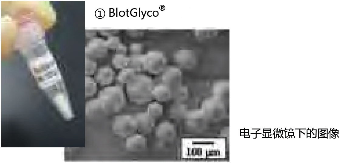 BlotGlyco? 糖鏈純化試劑盒