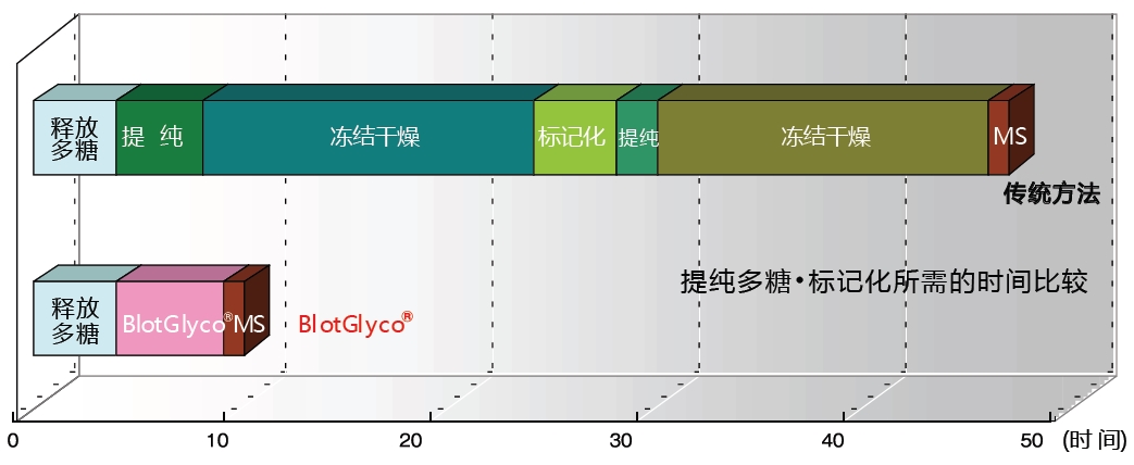 BlotGlyco? 糖鏈純化試劑盒