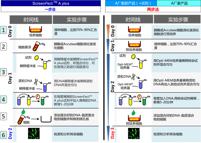 DNA & siRNA轉(zhuǎn)染試劑