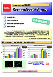 DNA & siRNA轉(zhuǎn)染試劑