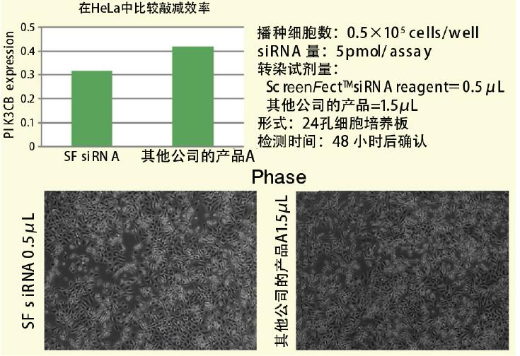 ScreenFect™ 通信 向HeLa細(xì)胞導(dǎo)入siRNA數(shù)據(jù)