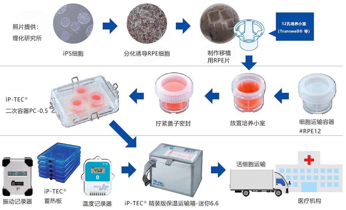 iP-TEC?  細(xì)胞培養(yǎng)小室用運(yùn)輸容器 （12孔、24孔）
