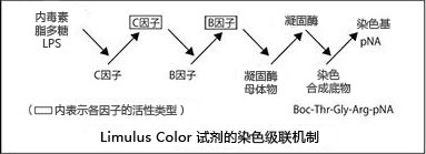 鱟試劑LAL Color KY 系列