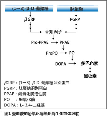SLP肽聚糖檢測試劑