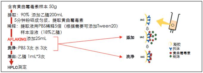 黃曲霉毒素和赭曲霉毒素提取用免疫親和柱