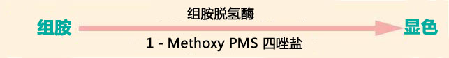 顯色法檢測組胺試劑盒