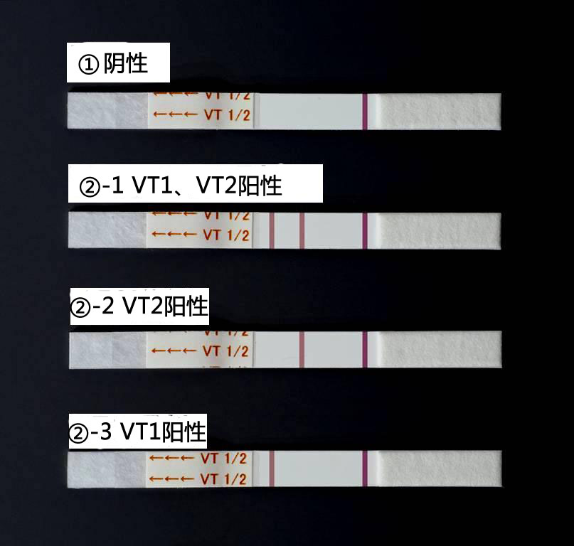 2714828280191066.jpg NH免疫層析VT1/2