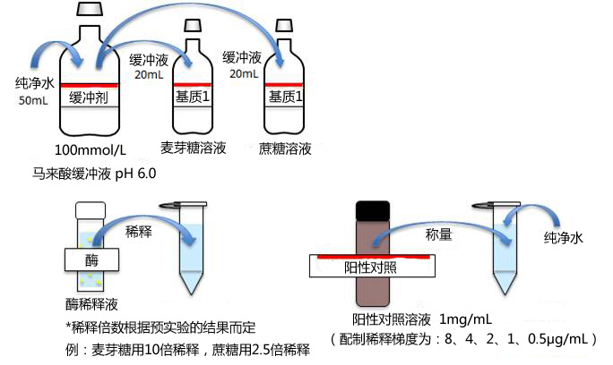 α-葡萄糖苷酶活性抑制檢測(cè)試劑盒