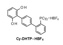 四氟硼酸2''-(二環(huán)己基膦)-對三聯(lián)苯-2,6-二醇
