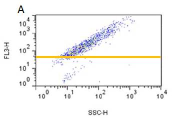 ProteoStat? 蛋白聚集檢測(cè)