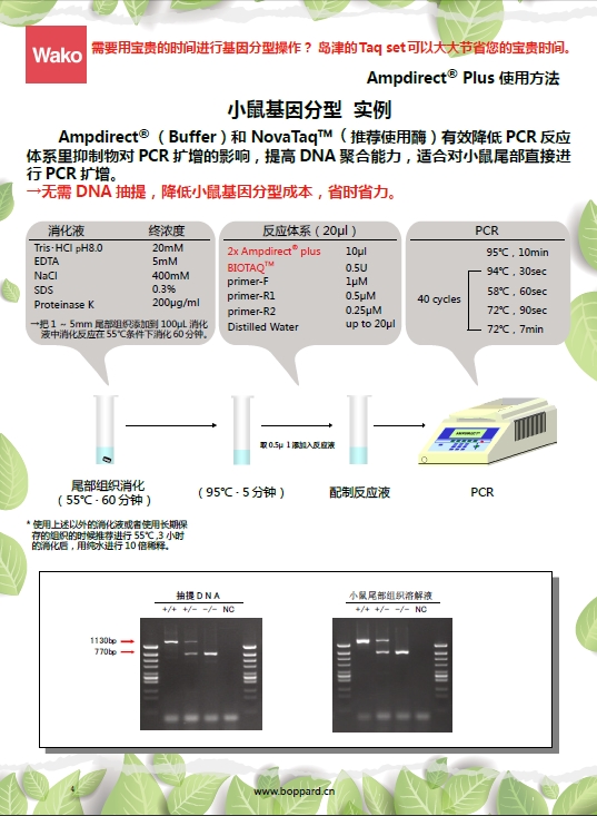 新型PCR 擴(kuò)增緩沖液