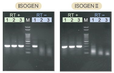 ISOGEN II