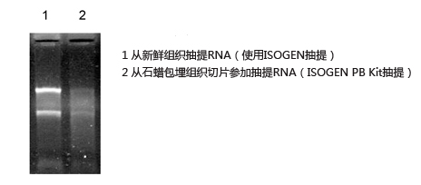 石蠟包埋組織切片RNA提取試劑盒