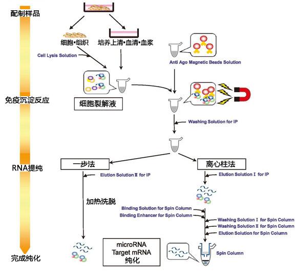 MagCapture™ microRNA分離試劑盒系列