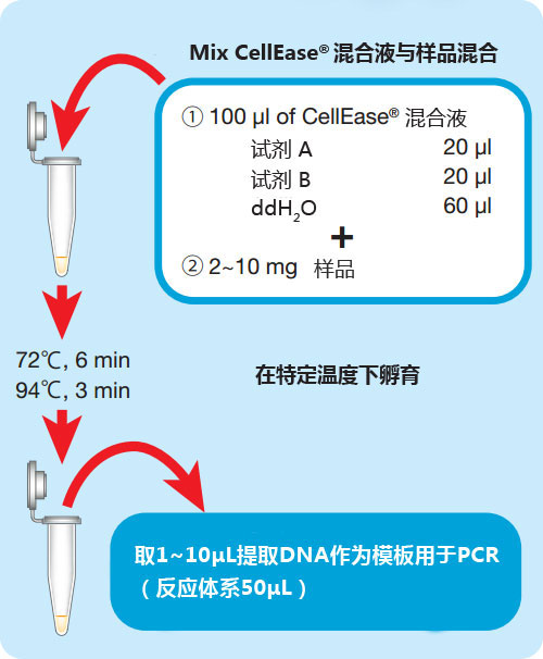 CellEase? II DNA快速提取試劑盒