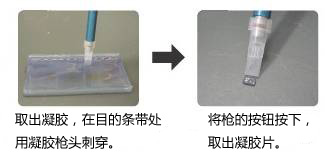 長(zhǎng)單鏈DNA（ssDNA）制備試劑盒
