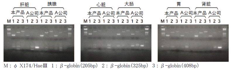 DNA分離PS-快速試劑