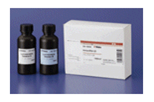 免疫印跡用化學(xué)發(fā)光試劑ImmunoStar? 系列