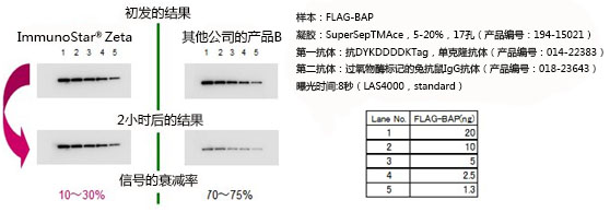 免疫印跡用化學(xué)發(fā)光試劑ImmunoStar? 系列