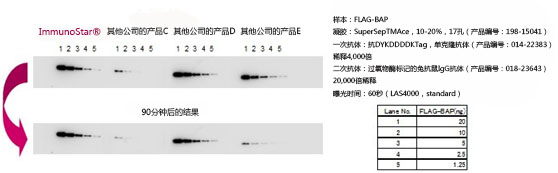 免疫印跡用化學(xué)發(fā)光試劑ImmunoStar? 系列