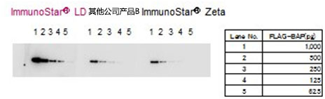 免疫印跡用化學(xué)發(fā)光試劑ImmunoStar? 系列