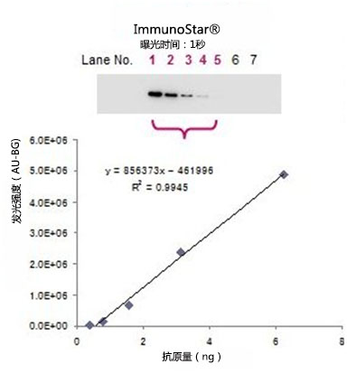 免疫印跡用化學(xué)發(fā)光試劑ImmunoStar? 系列