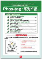 SuperSep Phos-tag™ 預(yù)制膠