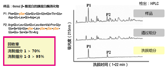 Phos-tag™ 瓊脂糖吸管