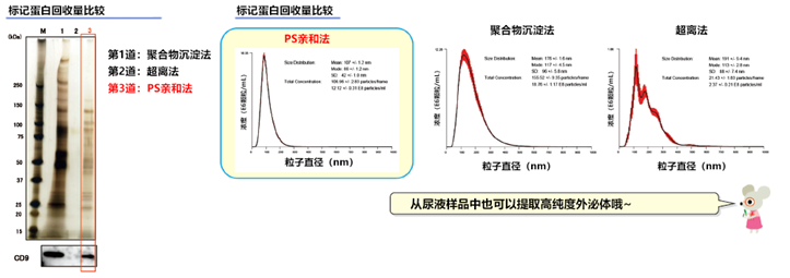 MagCapture™ 外泌體提取試劑盒