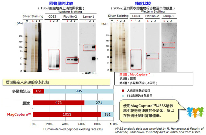 MagCapture™ 外泌體提取試劑盒