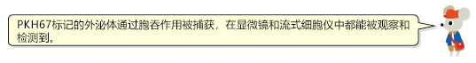 MagCapture™ 外泌體提取試劑盒