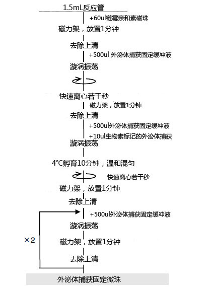 MagCapture™ 外泌體提取試劑盒