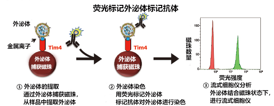 PS Capture™ 外泌體流式試劑盒