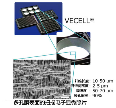VECELL? 3D細(xì)胞培養(yǎng)板