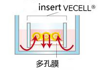 VECELL? 3D細(xì)胞培養(yǎng)板
