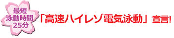 ラピダス?ミニスラブ電気泳動(dòng)槽 | 8x9cmゲル | PAGE スラブ電気泳動(dòng)槽 | アトー製品情報(bào) | ATTO
