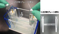 ラピダス?ミニスラブ電気泳動(dòng)槽 | 8x9cmゲル | PAGE スラブ電気泳動(dòng)槽 | アトー製品情報(bào) | ATTO