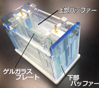 ラピダス?ミニスラブ電気泳動(dòng)槽 | 8x9cmゲル | PAGE スラブ電気泳動(dòng)槽 | アトー製品情報(bào) | ATTO