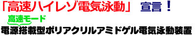 PageRunAce   パジェラン Ace | 8x9cmゲル | PAGE スラブ電気泳動(dòng)槽 | アトー製品情報(bào) | ATTO