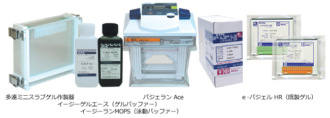 PageRunAce   パジェラン Ace | 8x9cmゲル | PAGE スラブ電気泳動(dòng)槽 | アトー製品情報(bào) | ATTO