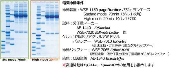 PageRunAce   パジェラン Ace | 8x9cmゲル | PAGE スラブ電気泳動(dòng)槽 | アトー製品情報(bào) | ATTO