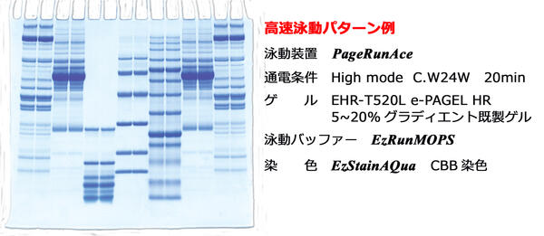 PageRunAce   パジェラン Ace | 8x9cmゲル | PAGE スラブ電気泳動(dòng)槽 | アトー製品情報(bào) | ATTO
