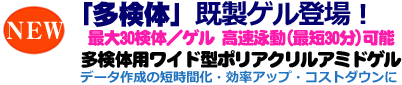 ワイドサイズ既製ゲル | ポリアクリルアミドゲル ワイド(14x8cm)サイズ | 電気泳動既製ゲル | アトー製品情報 | ATTO